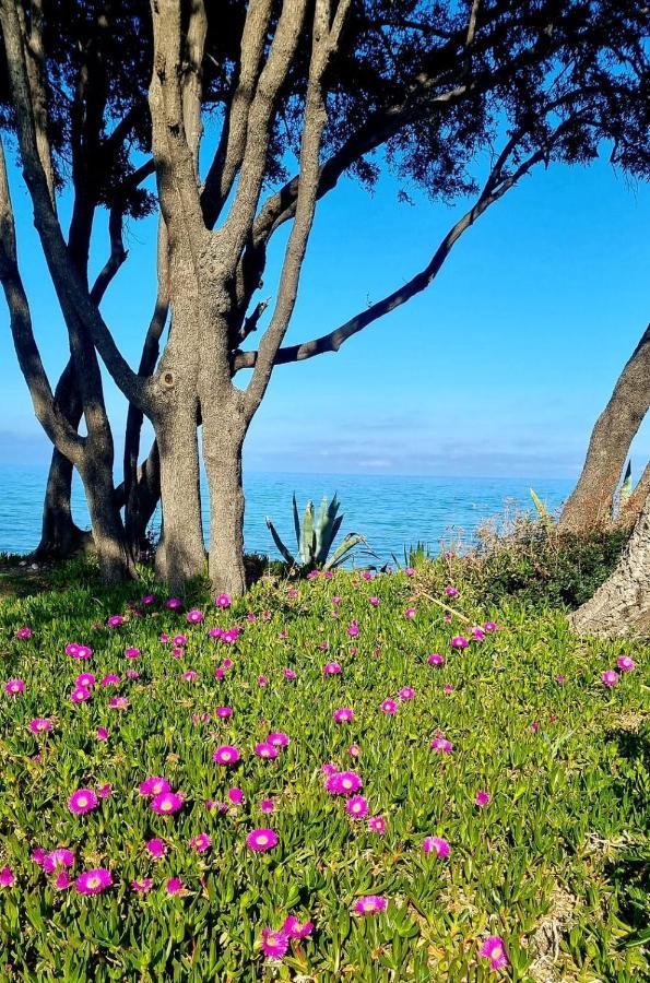 Maison U Nidu A 500M De La Mer سيرفيون المظهر الخارجي الصورة